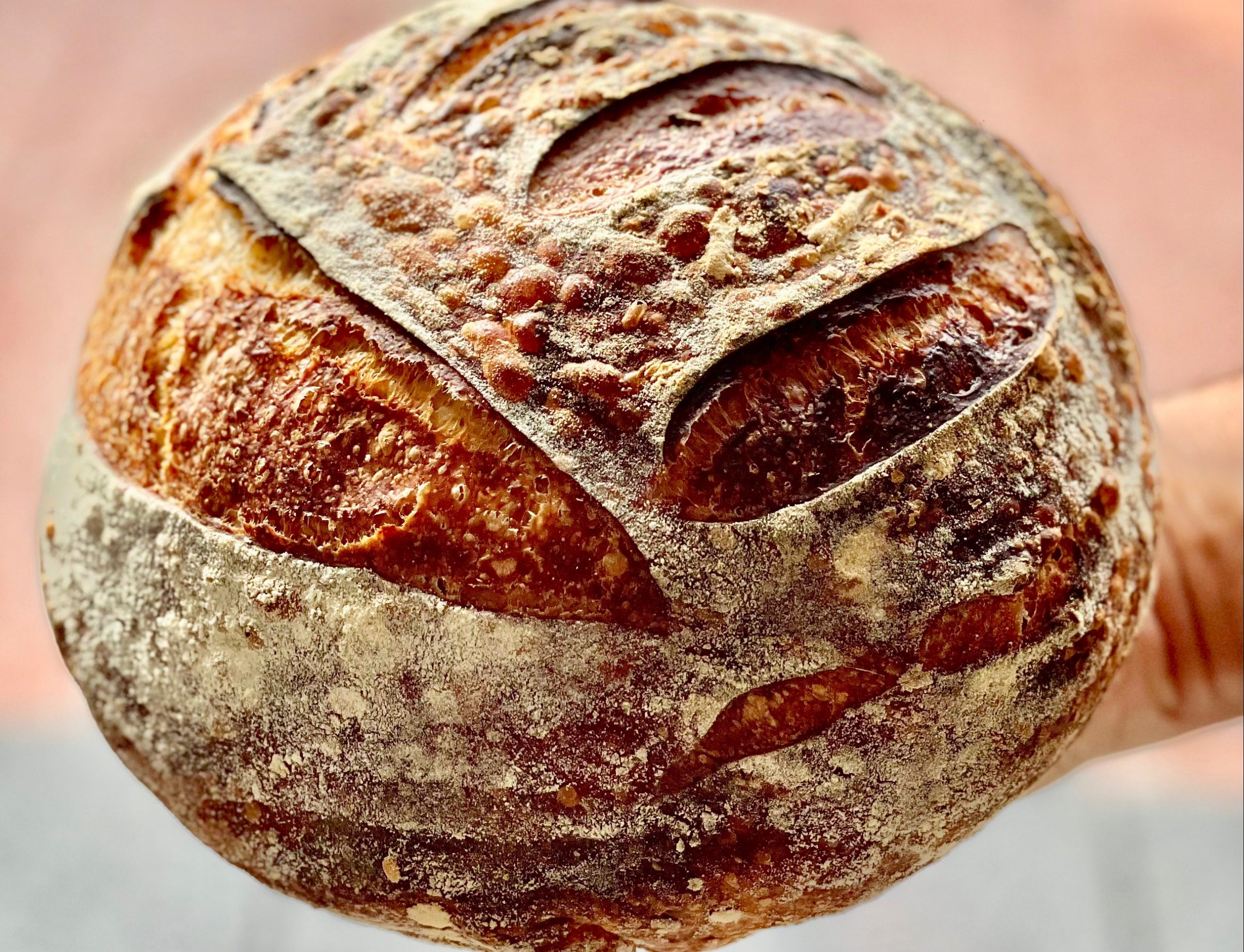 Sourdough Bread